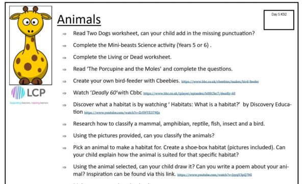 KS2 Day 5 Home Learning Planner: Animals
