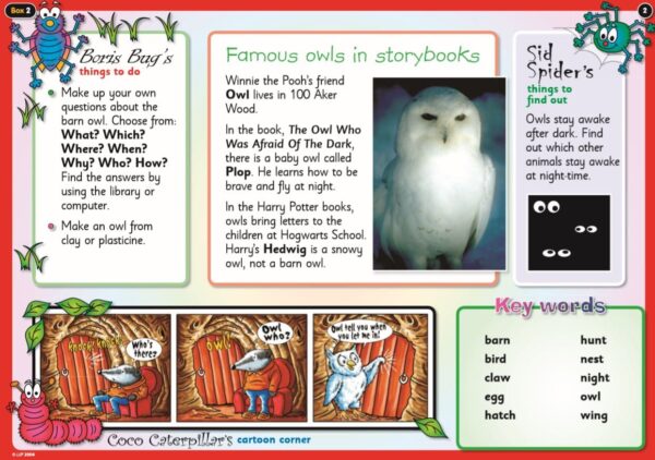 Year 2: English/Literacy Guided Reading- Encouraging talk about non-fiction texts