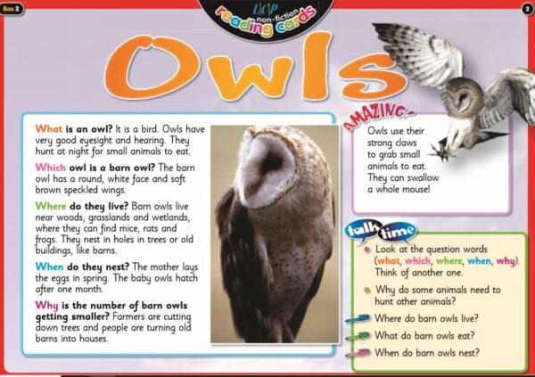 Year 2: English/Literacy Guided Reading- Encouraging talk about non-fiction texts - Image 3