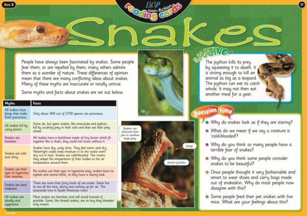 Year 5: Non Fiction Text, Snake, Text and Activities
