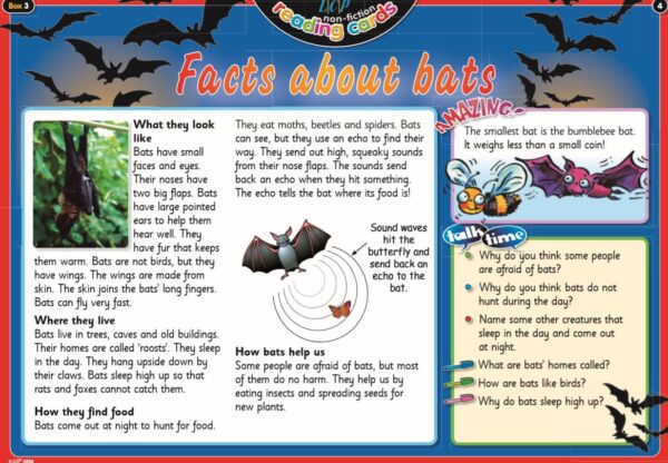Year 3: English/Literacy Guided Reading- Encouraging talk about non-fiction texts - Image 4