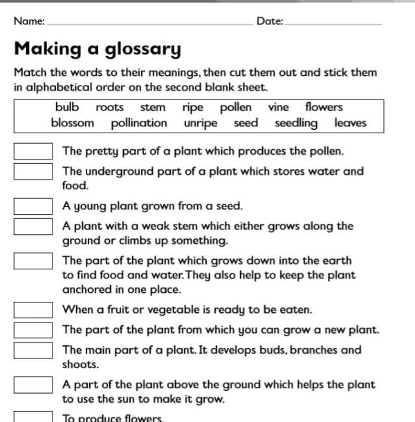 Year 2 English/ Literacy Explanation Texts, Glossary (Linked to Life Cycles/Plants)