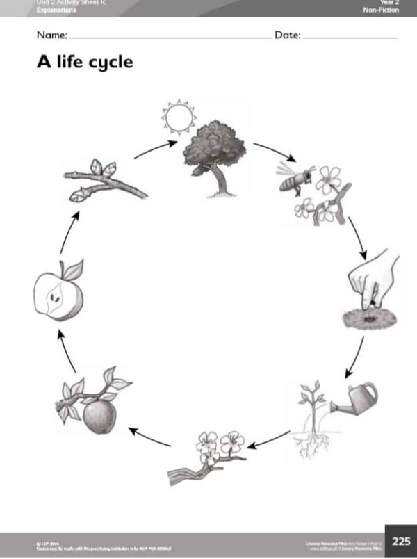 Year 2 English/ Literacy, Explanation 5 lesson Unit (Life Cycles) - Image 3