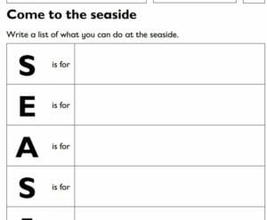 Year 1/2 (KS1)- Geography-What is it like at the seaside? Lesson Plan