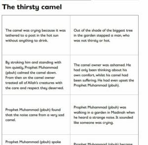 R.E - Year 5 - Islam Unit (12 lesson unit)